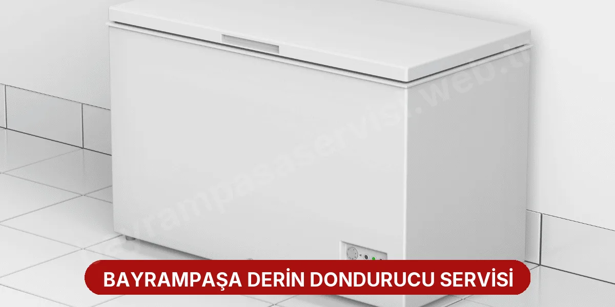 Bayrampaşa Derin Dondurucu Servisi