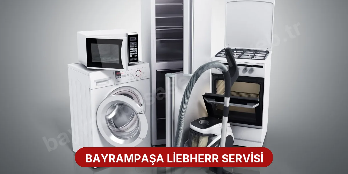 Bayrampaşa Liebherr Servisi